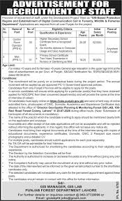 Official Forestry Wildlife Fisheries Department Punjab Job Advertisement September 2026